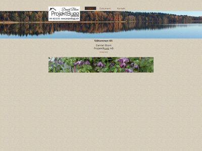 projektbygg.com snapshot