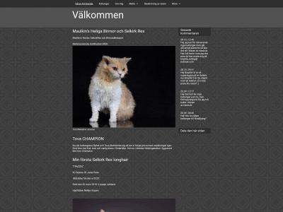 maulkins.se snapshot