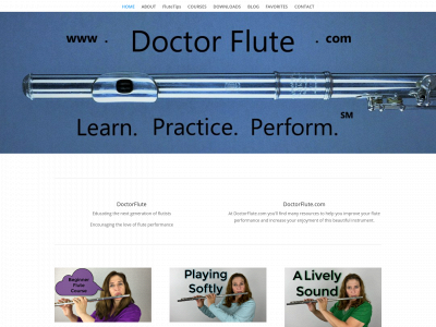 doctorflute.com snapshot