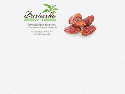 bashashadates.com snapshot