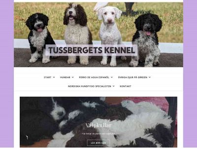 tussberget.se snapshot
