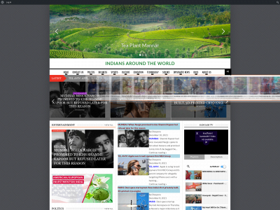 indiansaroundtheworld.com snapshot