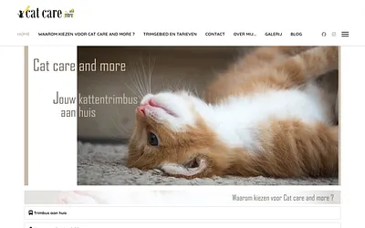 cat-care.be snapshot