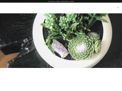 shopvagabond.com snapshot