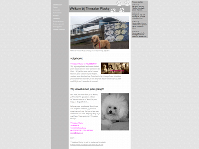plucky.nl snapshot
