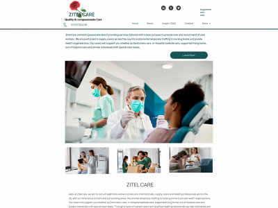 zitelcare.co.uk snapshot