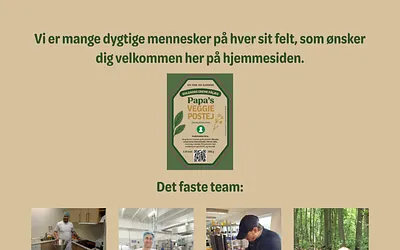 veggiefood.dk snapshot