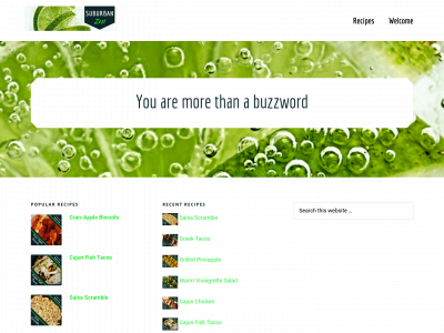 suburbanzest.com snapshot