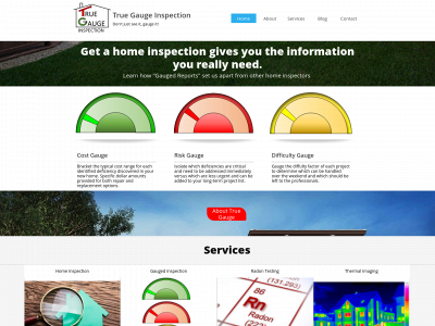 truegaugeinspection.com snapshot