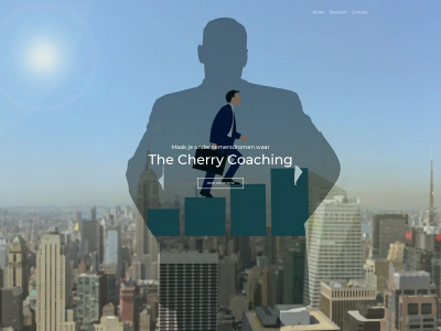 thecherry.nl snapshot