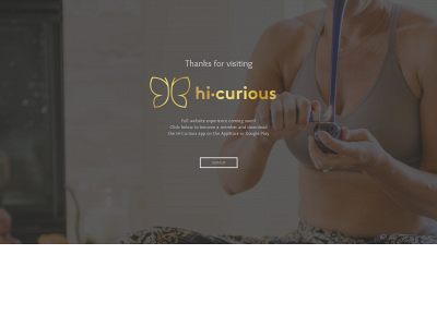 hi-curious.com snapshot