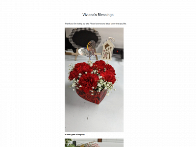 vivianasblessings.com snapshot