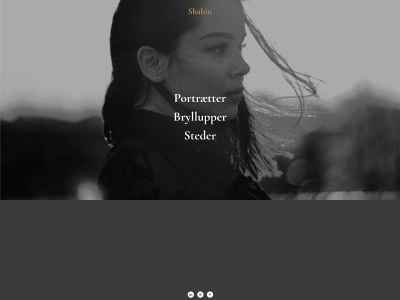 shahin.dk snapshot