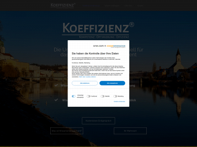koeffizienz.com snapshot