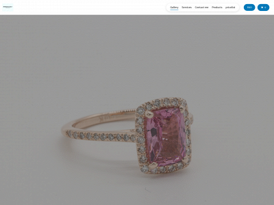 bidanddazzle.com snapshot