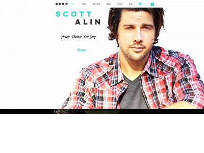 scottalin.com snapshot