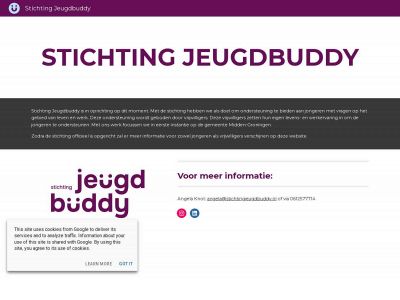 stichtingjeugdbuddy.nl snapshot