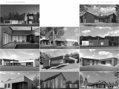 studijabieliauskas.lt snapshot