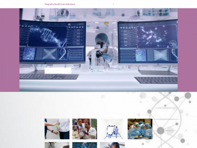 maghealthcaresolutions.com snapshot