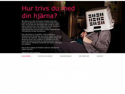 equilibrain.se snapshot