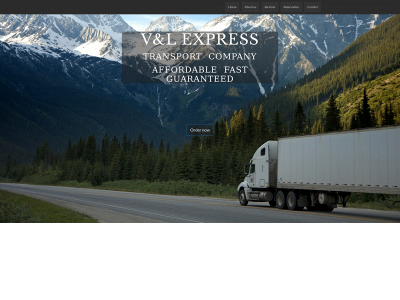 transportvl.com snapshot