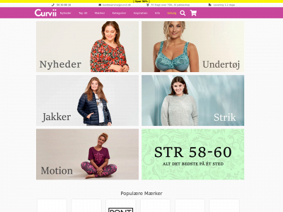 curv.dk snapshot