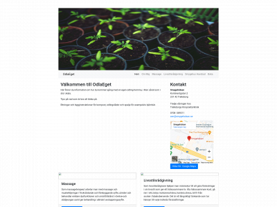 odlaeget.se snapshot