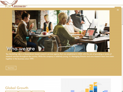 topmarketingmoz.com snapshot