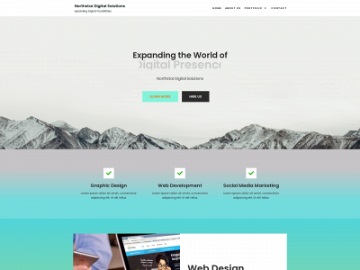 northstardigitalsolutions.com snapshot