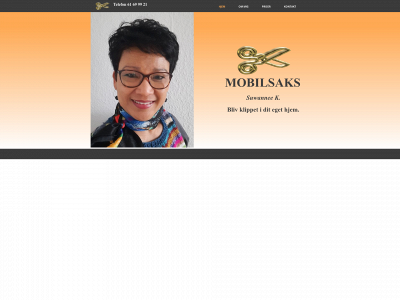 mobilsaks.dk snapshot