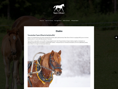 teamoliveri.fi snapshot