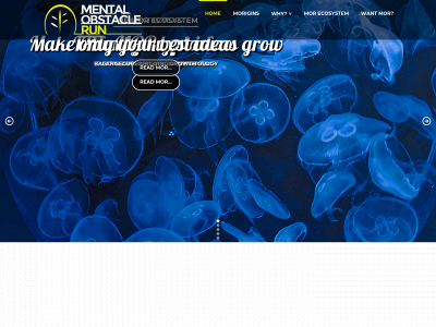 mentalobstaclerun.com snapshot