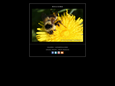 lanephotography.com snapshot