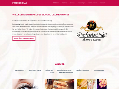 professionail-delmenhorst.de snapshot