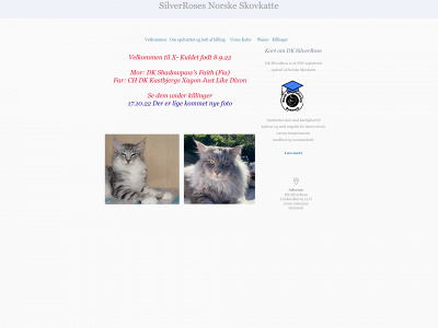 dk-silverrose.dk snapshot