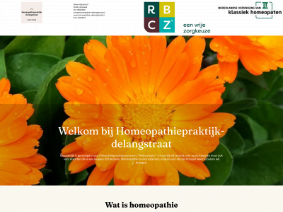 homeopathie-delangstraat.nl snapshot