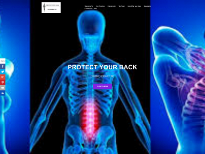 protectyourbackchiropractic.com snapshot