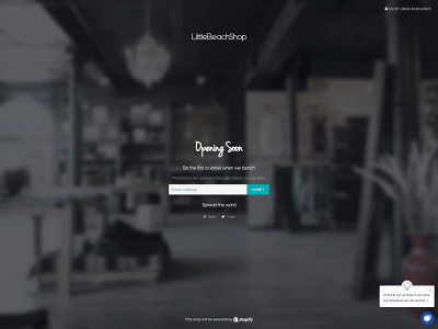 littlebeachshop.com snapshot
