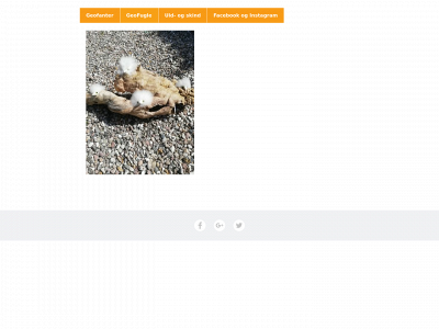 geofant.dk snapshot