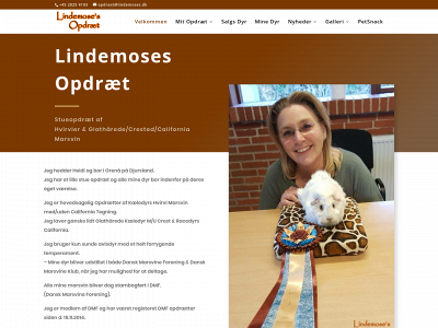 lindemoses.dk snapshot