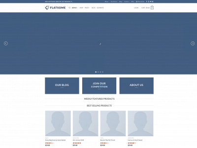 nesfox.com snapshot