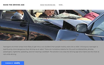 thedrivingage.weebly.com snapshot