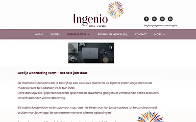 ingenio-marketing.be snapshot