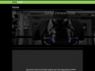 turtlefitnessclub.com snapshot