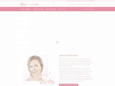 cluster-expertin.de snapshot