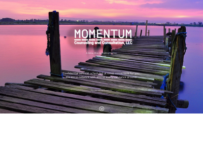 momentumcounselingandconsultation.com snapshot