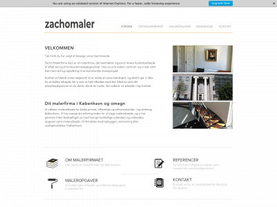 malerzacho.dk snapshot