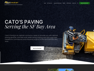 catospaving.com snapshot