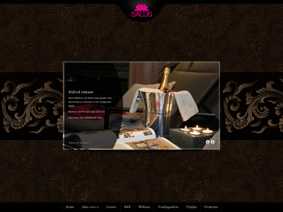 salus-wellness.be snapshot