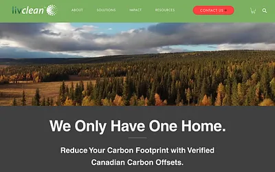livclean.ca snapshot